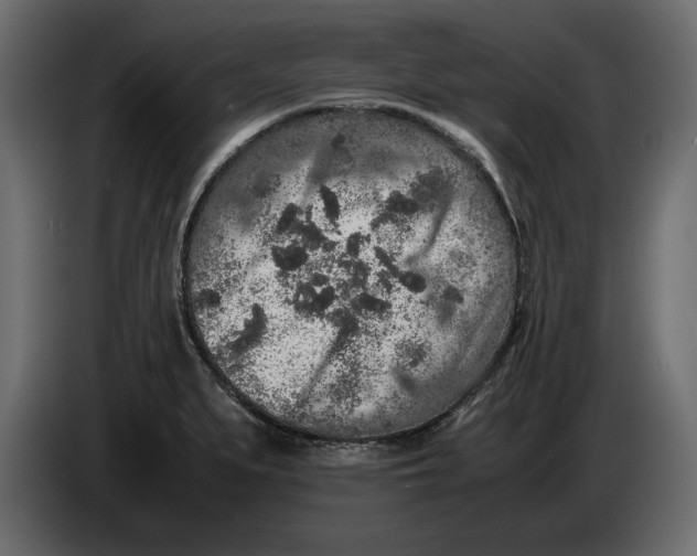 X0000083601279200703021903