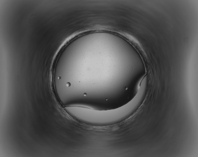 X0000083601280200703021903