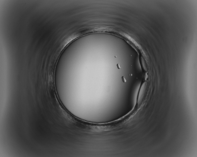 X0000083601281200703021903