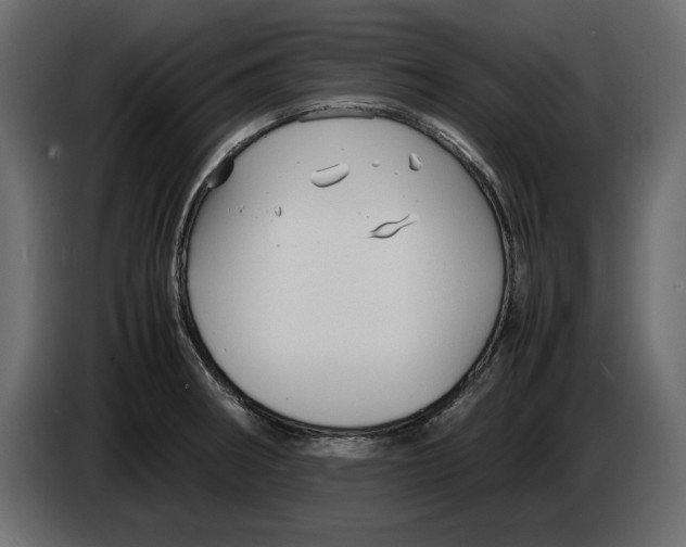 X0000083601282200703021903