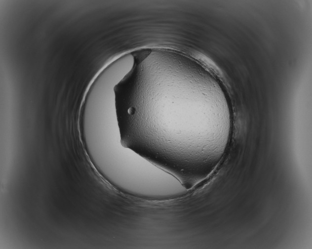 X0000083601284200703021903