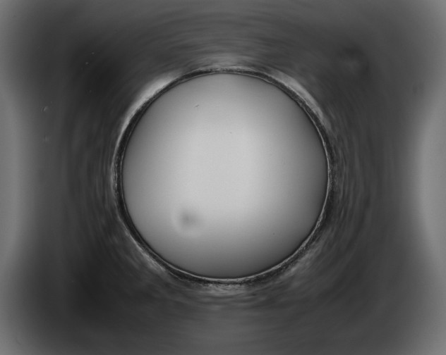 X0000083601285200703021903