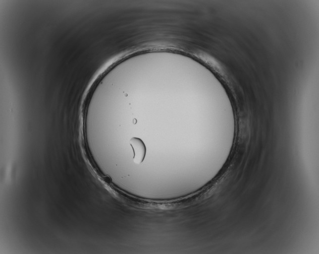 X0000083601286200703021903