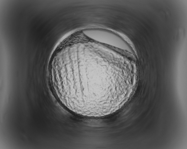 X0000083601287200703021903