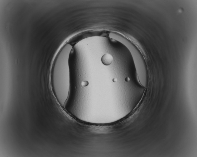 X0000083601288200703021903