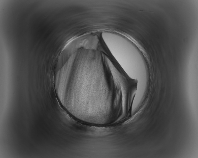 X0000083601289200703021903