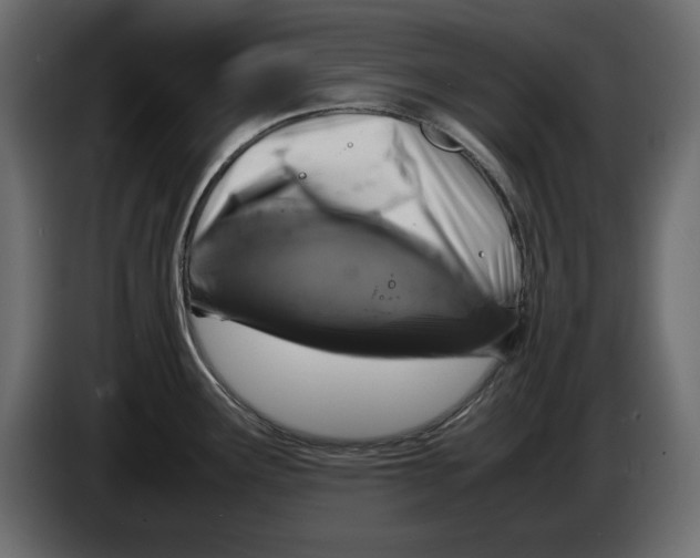 X0000083601291200703021902