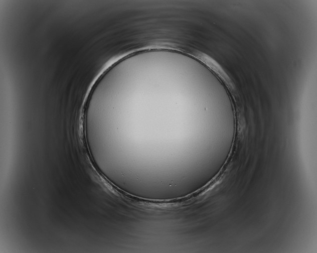 X0000083601292200703021902