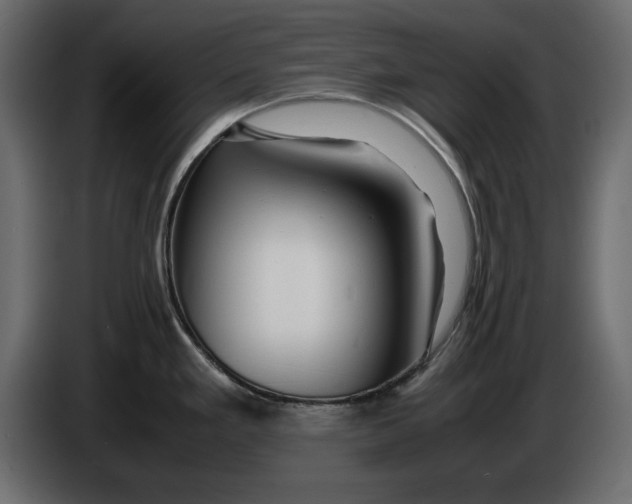 X0000083601293200703021902