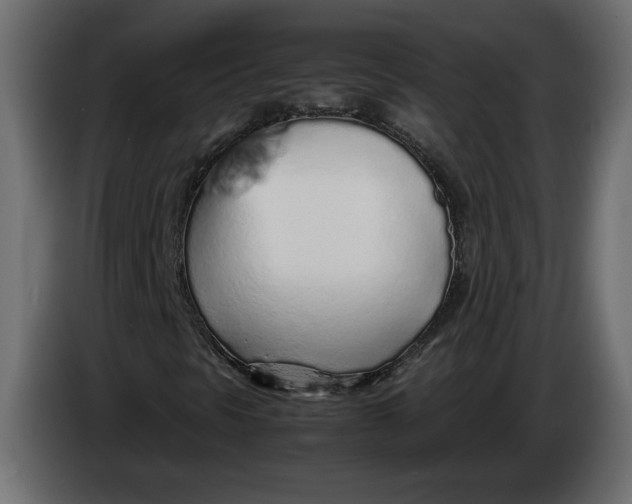 X0000083601297200703021902