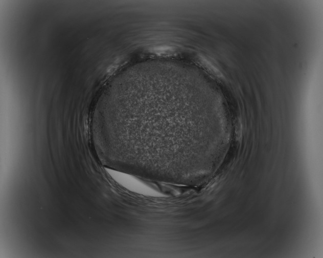 X0000083601298200703021902