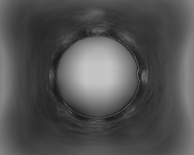 X0000083601299200703021902