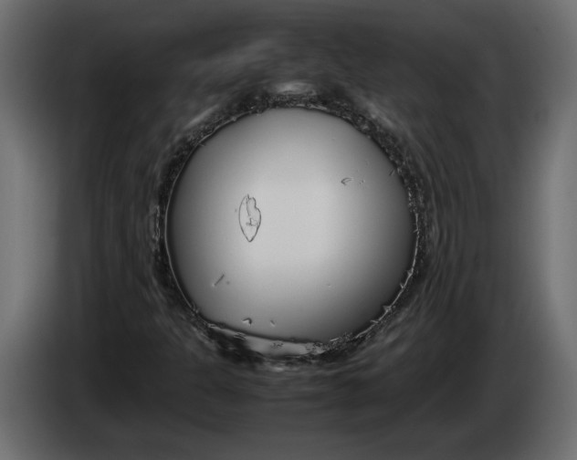 X0000083601301200703021902