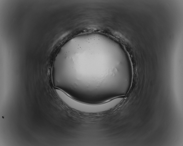 X0000083601302200703021902