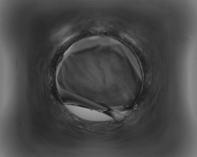 X0000083601303200703021902