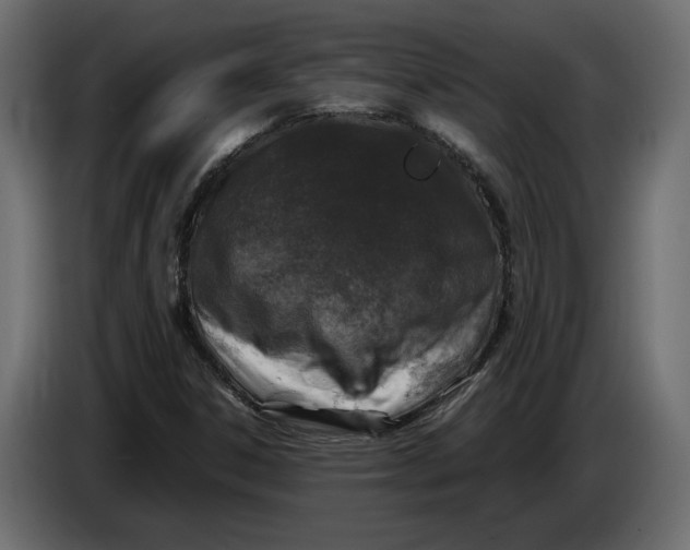 X0000083601306200703021902