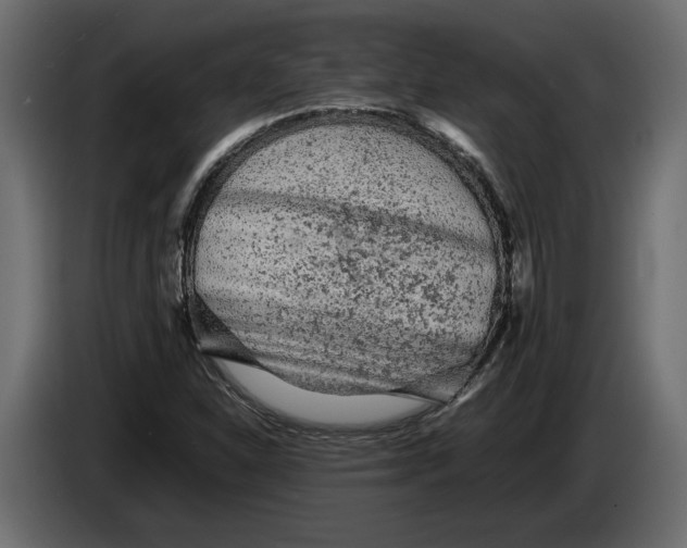 X0000083601310200703021902