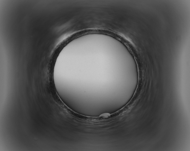 X0000083601311200703021902