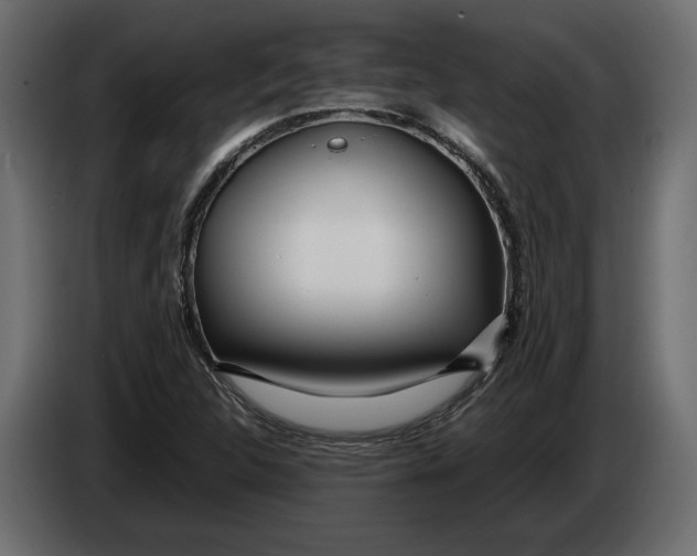 X0000083601312200703021902