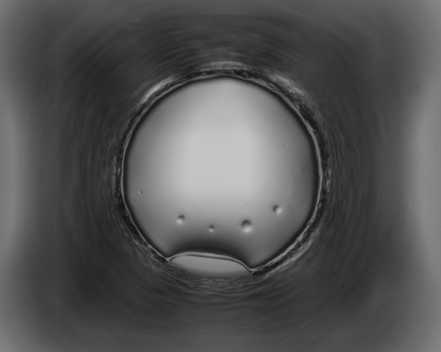 X0000083601313200703021902