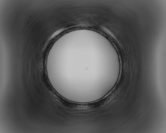 X0000083601315200703021902