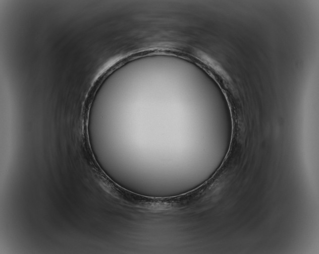 X0000083601316200703021902