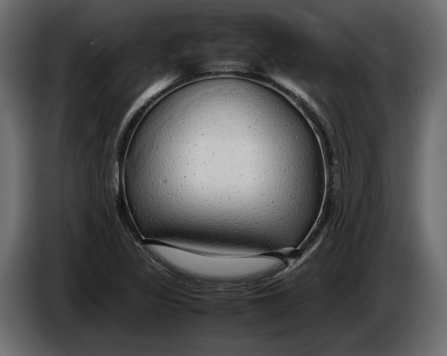 X0000083601317200703021902