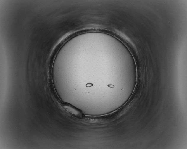 X0000083601318200703021902