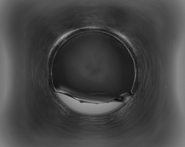 X0000083601319200703021902