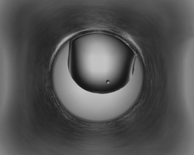 X0000083601320200703021902