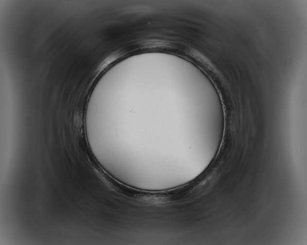 X0000083601321200703021902