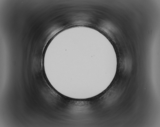 X0000083601322200703021902