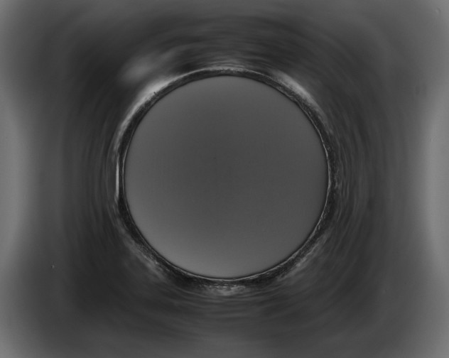 X0000083601323200703021902