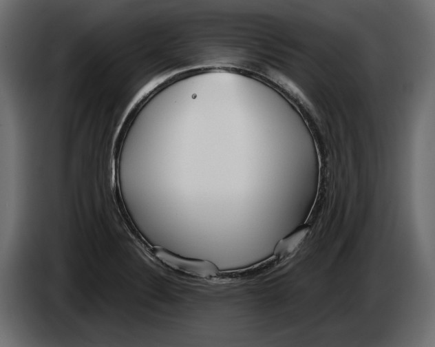 X0000083601324200703021902