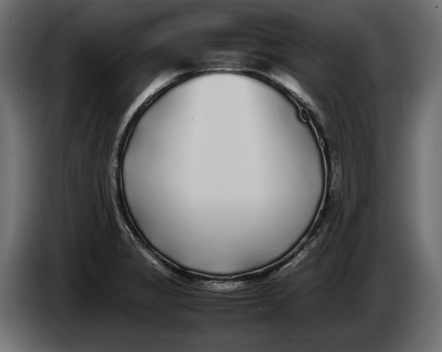 X0000083601325200703021902