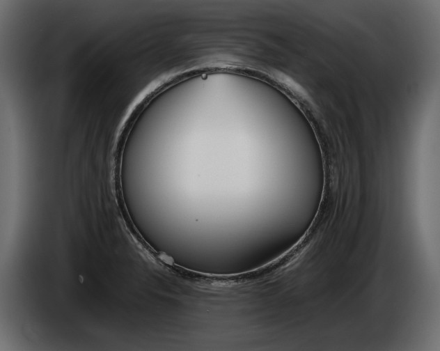 X0000083601326200703021902