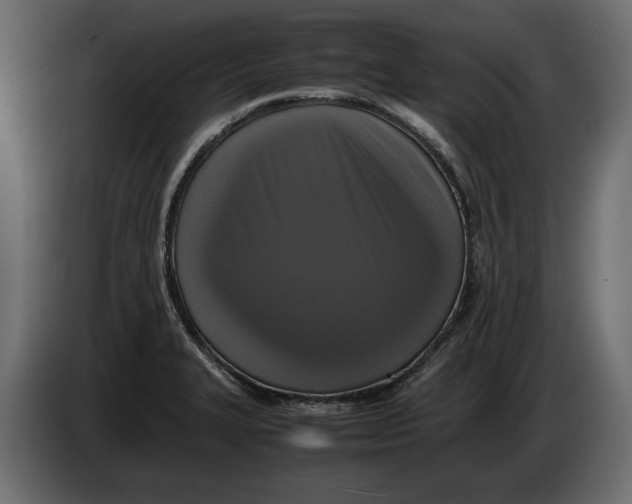 X0000083601327200703021902