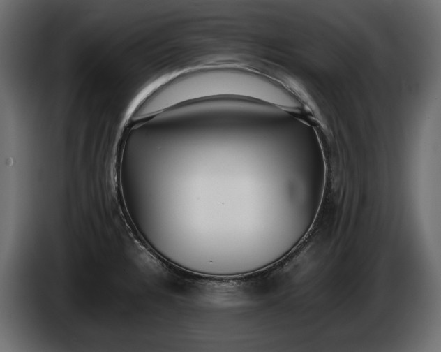 X0000083601328200703021902