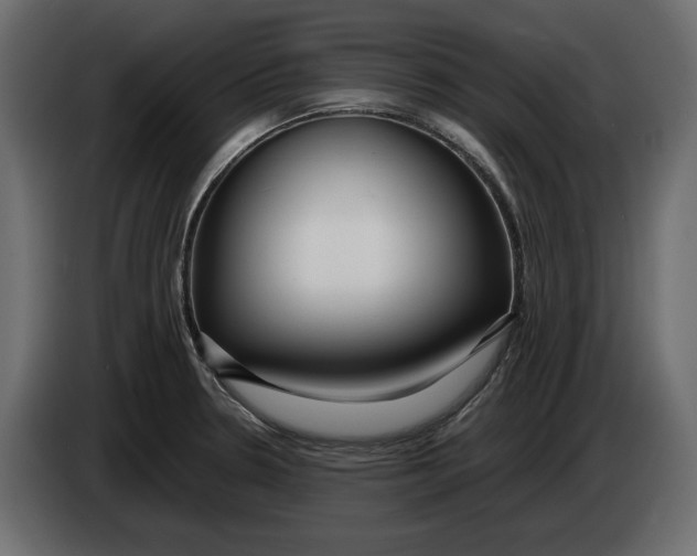 X0000083601330200703021902