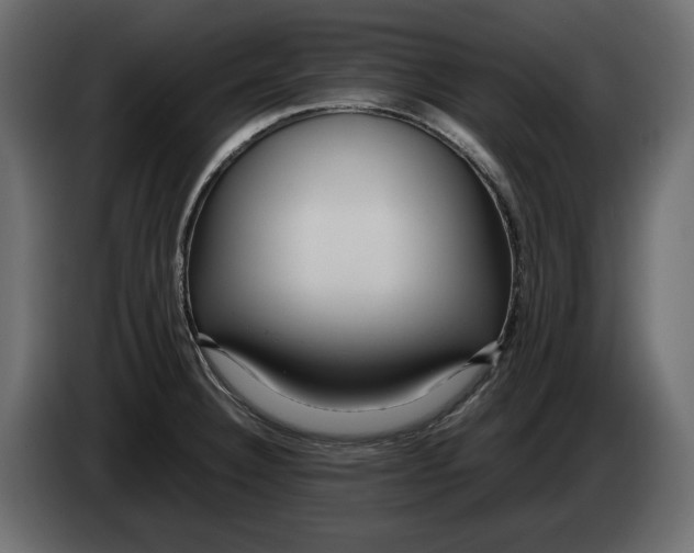 X0000083601332200703021902