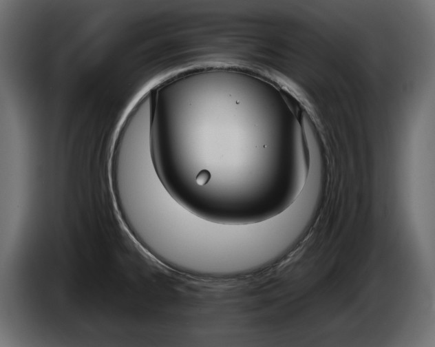 X0000083601334200703021902