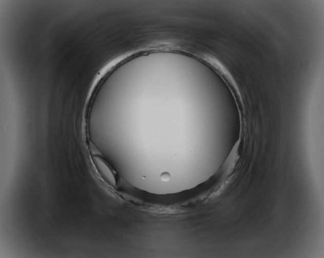 X0000083601336200703021902