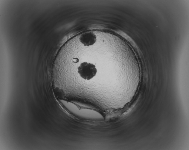 X0000083601337200703021902