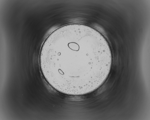 X0000083601338200703021902