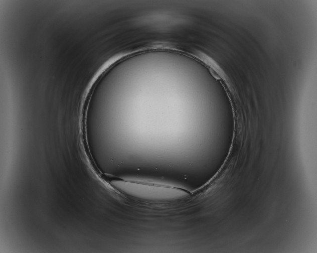 X0000083601339200703021902