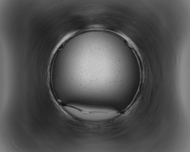 X0000083601341200703021902