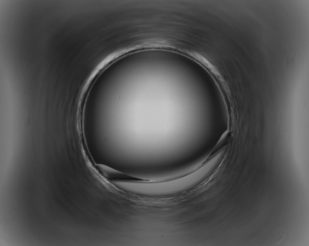 X0000083601342200703021902