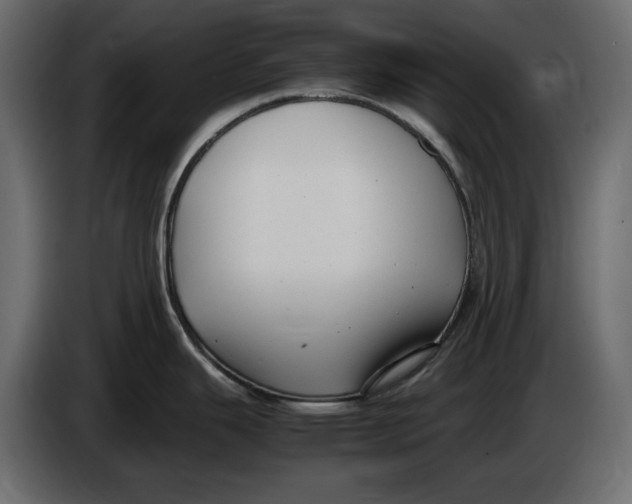 X0000083601343200703021902