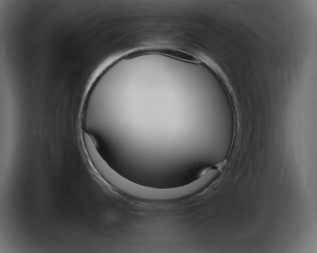 X0000083601344200703021902