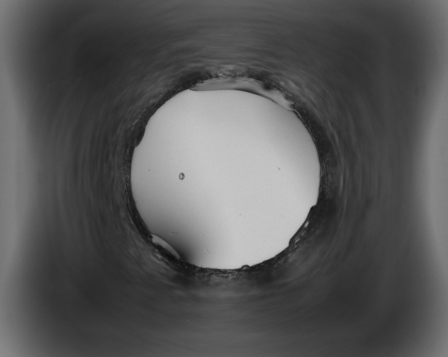 X0000083601345200703021902